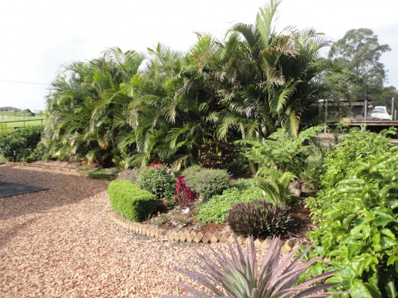 Veresdale Scrub QLD 4285