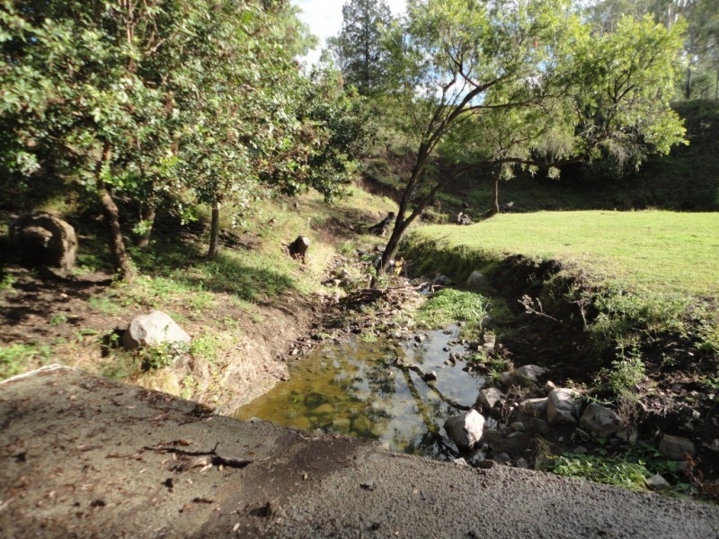 Veresdale Scrub QLD 4285