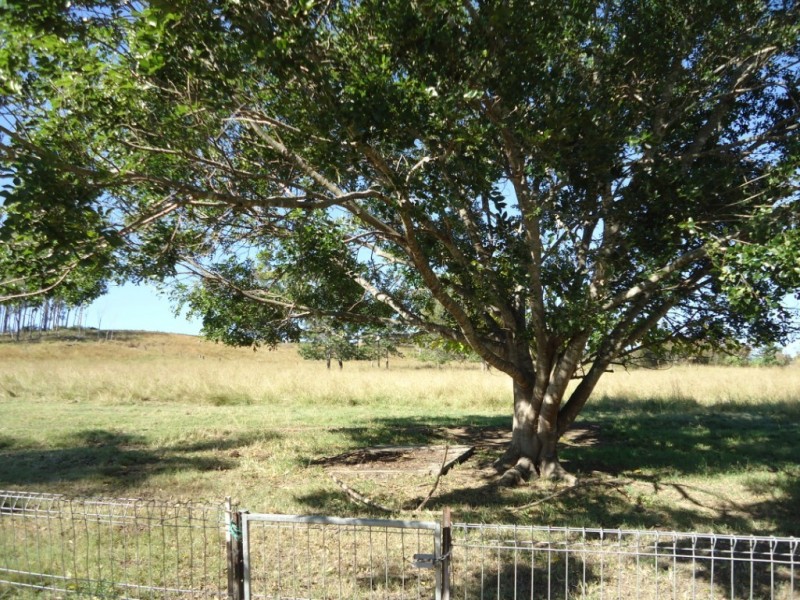 27D Christmas Creek Road, Laravale QLD 4285