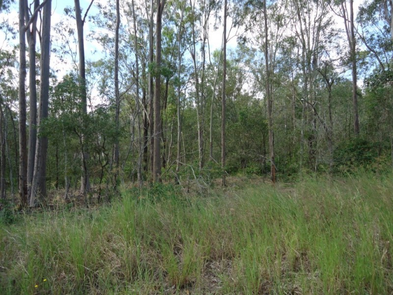 464-484 Mundoolun Road, Jimboomba QLD 4280