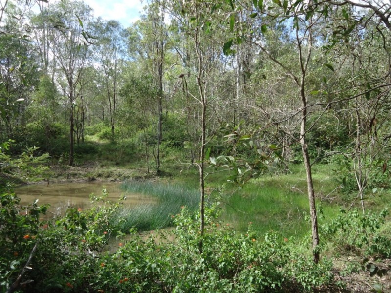 464-484 Mundoolun Road, Jimboomba QLD 4280