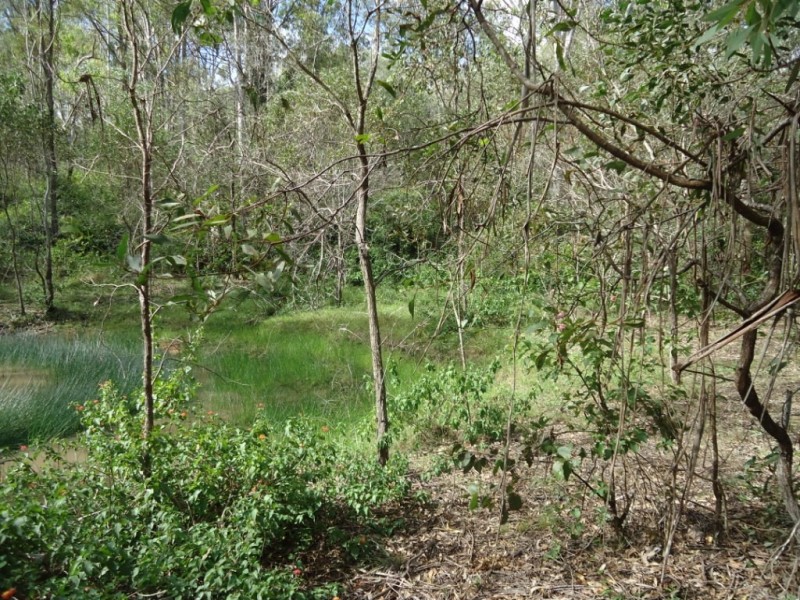 464-484 Mundoolun Road, Jimboomba QLD 4280