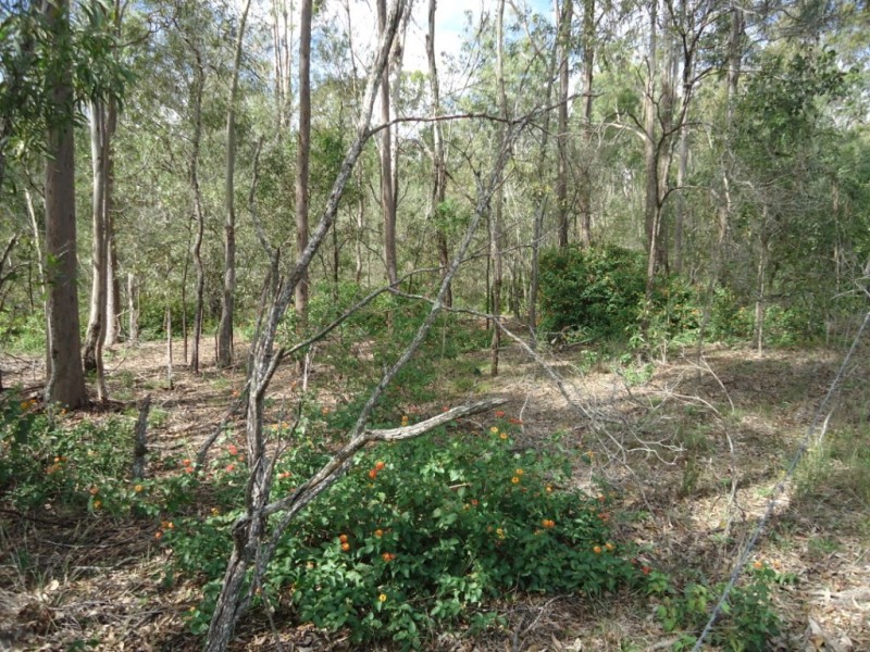 464-484 Mundoolun Road, Jimboomba QLD 4280