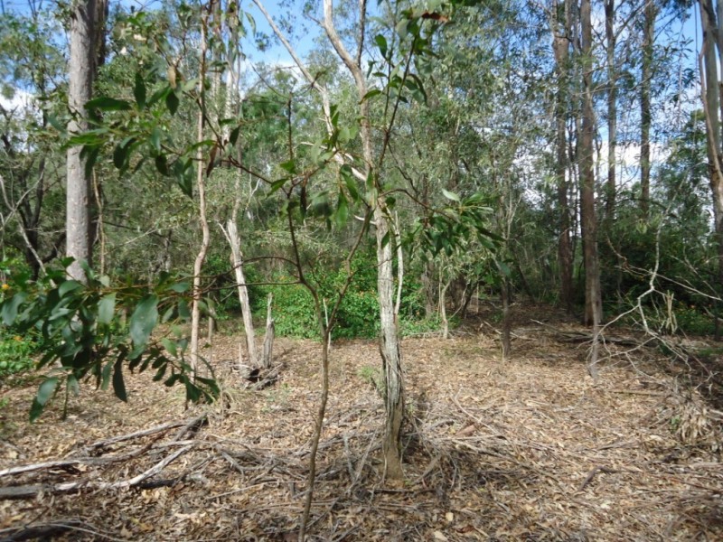 464-484 Mundoolun Road, Jimboomba QLD 4280