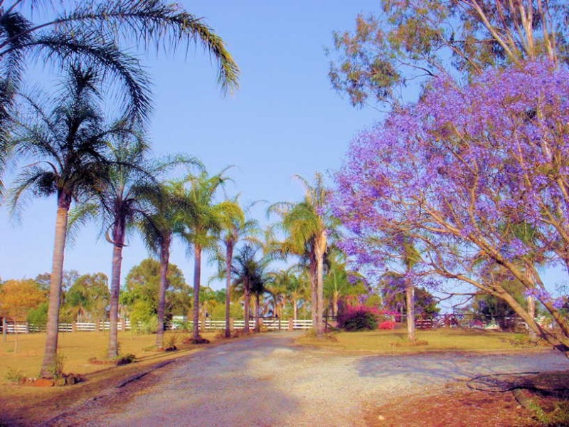 31 Deltoro Road, Cedar Grove QLD 4285