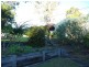 31 Deltoro Road, Cedar Grove QLD 4285