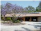 31 Deltoro Road, Cedar Grove QLD 4285