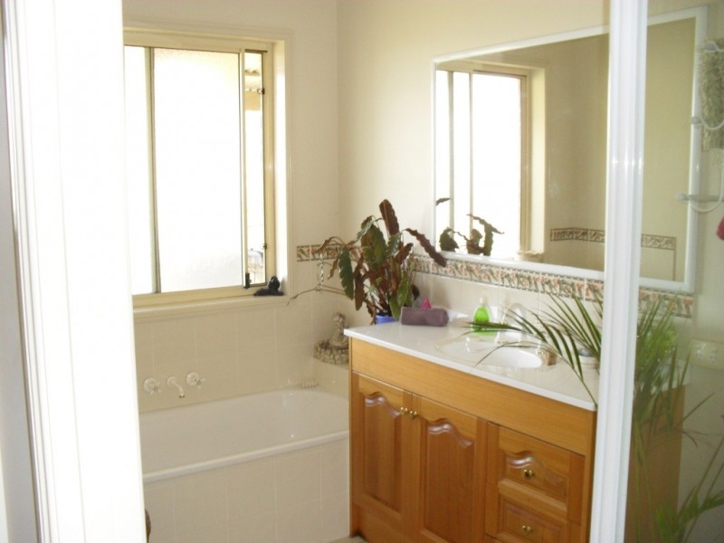 569 Oaky Creek Road, Oaky Creek QLD 4285