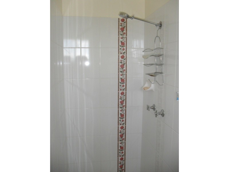 569 Oaky Creek Road, Oaky Creek QLD 4285