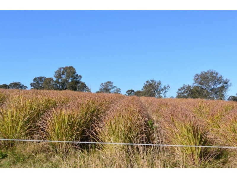 301 Cusack Lane, Jimboomba QLD 4280