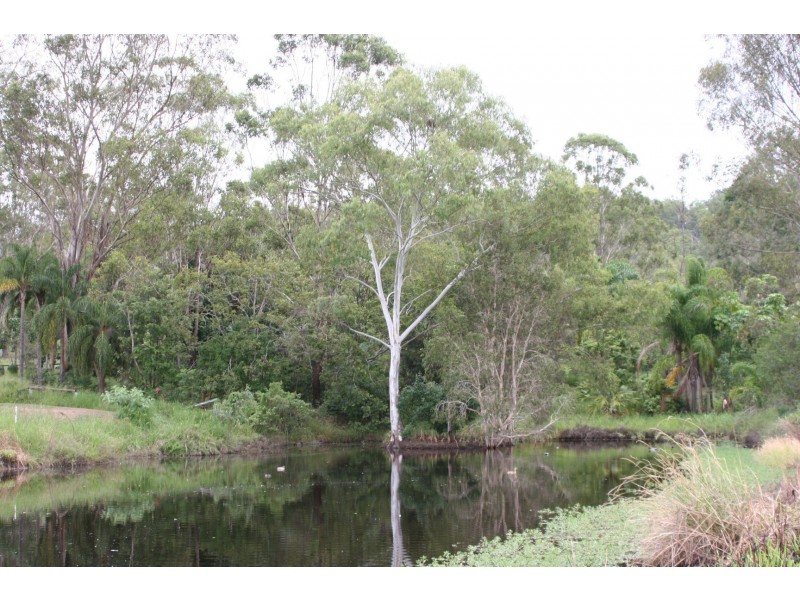 1040 Kerry Road, Beaudesert QLD 4285