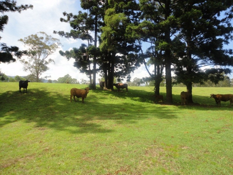 Beaudesert QLD 4285