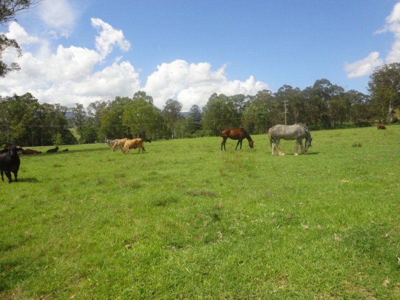 Beaudesert QLD 4285
