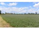 5025 Mt Lindesay Hwy, Beaudesert QLD 4285