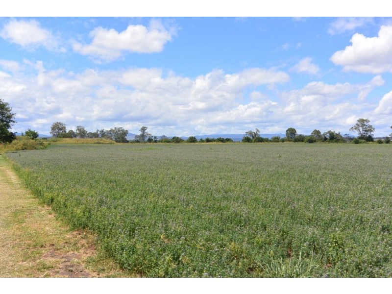 5025 Mt Lindesay Hwy, Beaudesert QLD 4285