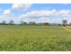 5025 Mt Lindesay Hwy, Beaudesert QLD 4285