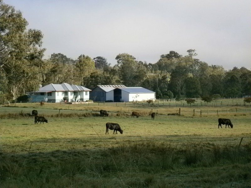 544 Cainbable Creek Rd, Beaudesert QLD 4285