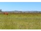 lot 9 Sullivan Rd, Beaudesert QLD 4285