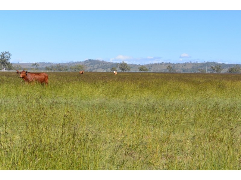 lot 9 Sullivan Rd, Beaudesert QLD 4285