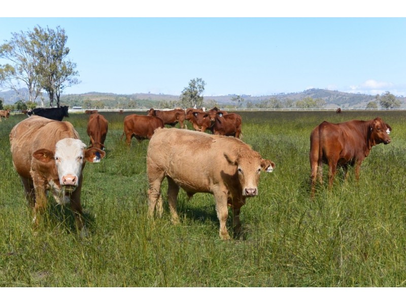 lot 9 Sullivan Rd, Beaudesert QLD 4285