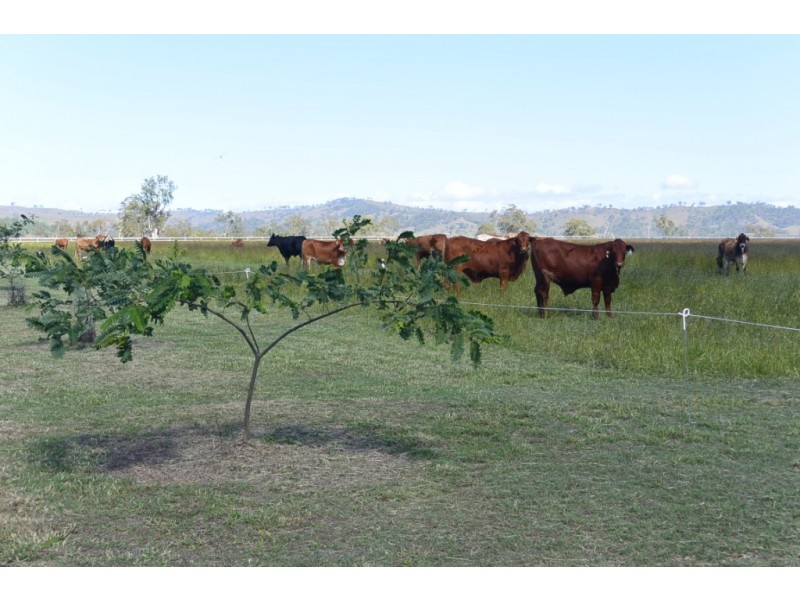 lot 9 Sullivan Rd, Beaudesert QLD 4285