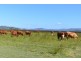 lot 9 Sullivan Rd, Beaudesert QLD 4285