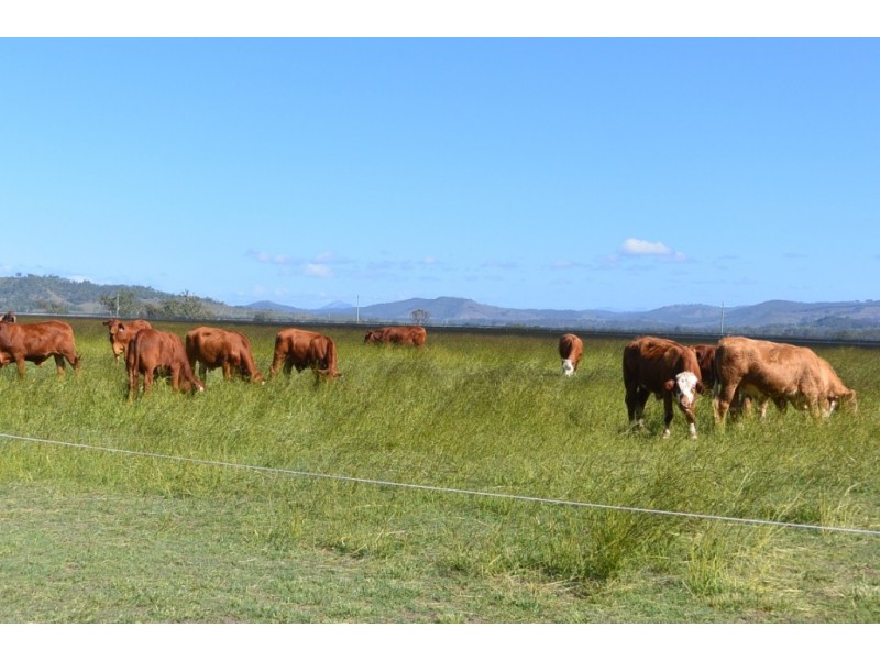 lot 9 Sullivan Rd, Beaudesert QLD 4285