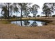77 Brolga Rd, Beaudesert QLD 4285