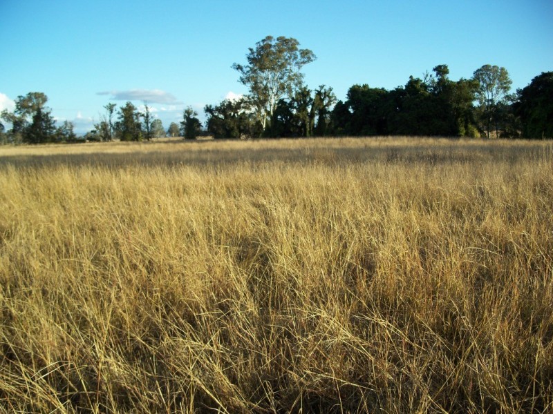 8162 Mt Lindesay Hwy, Beaudesert QLD 4285