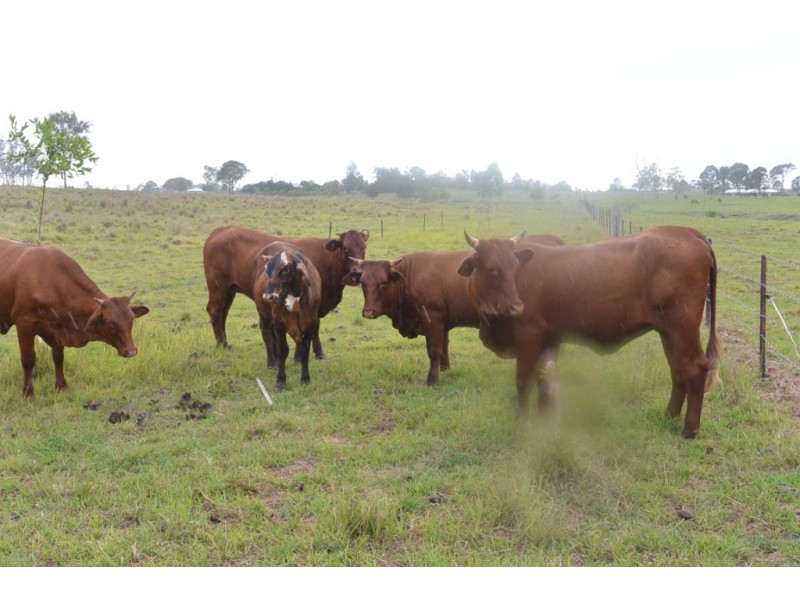 622 Kerry Road, Beaudesert QLD 4285