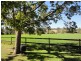 56 Haack Rd, Christmas Creek QLD 4285