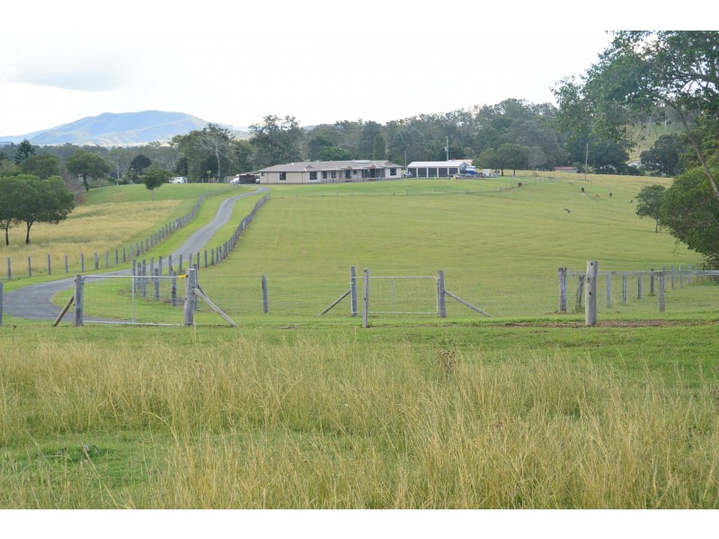 384 Veresdale School Scrub Road, Veresdale Scrub QLD 4285