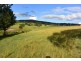 384 Veresdale School Scrub Road, Veresdale Scrub QLD 4285