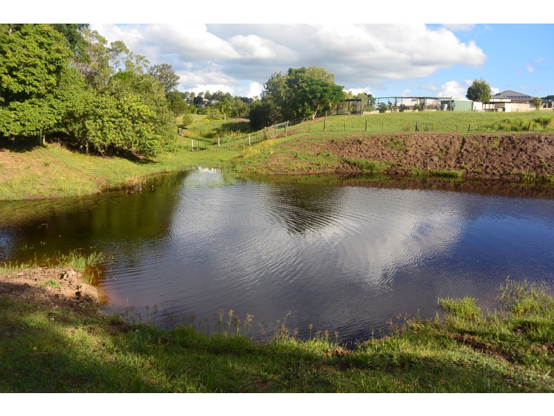 384 Veresdale School Scrub Road, Veresdale Scrub QLD 4285