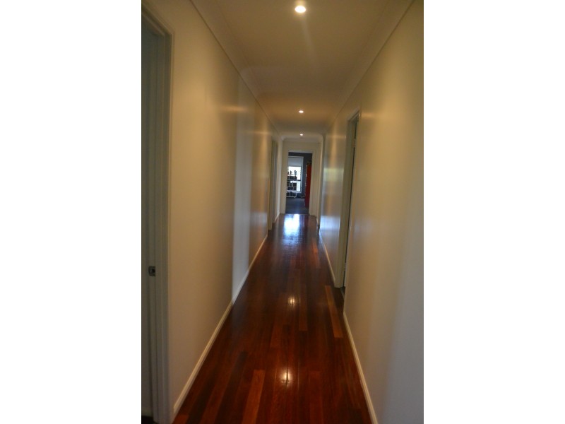 384 Veresdale School Scrub Road, Veresdale Scrub QLD 4285