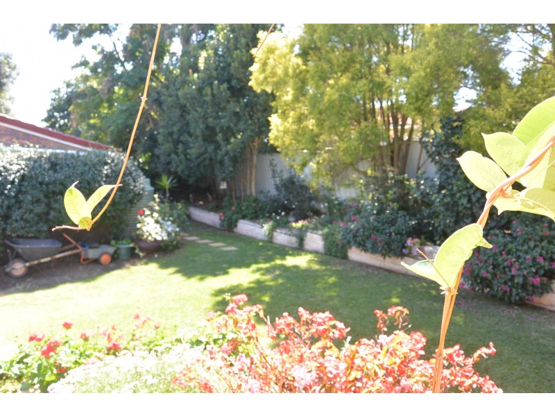 66 Brooklands Drive, Beaudesert QLD 4285