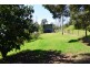 53 Veresdale Scrub Road, Veresdale Scrub QLD 4285