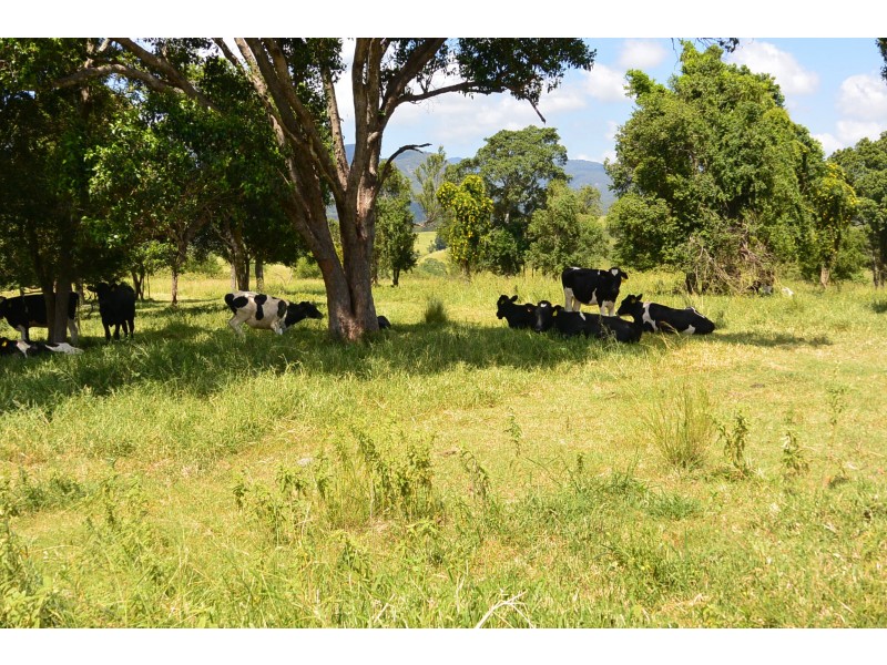 2560 Boonah=Rathdowney Road, Boonah QLD 4310