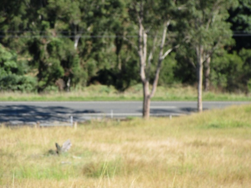 8343 Mount Lindesay Highway, Beaudesert QLD 4285