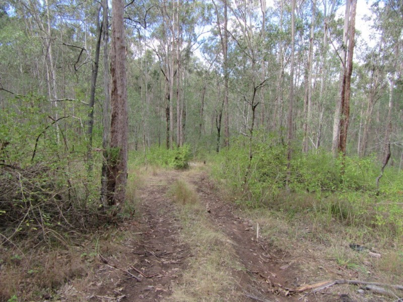 4470 Birnam Range Road, Beaudesert QLD 4285