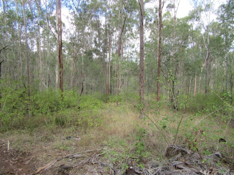 4470 Birnam Range Road, Beaudesert QLD 4285