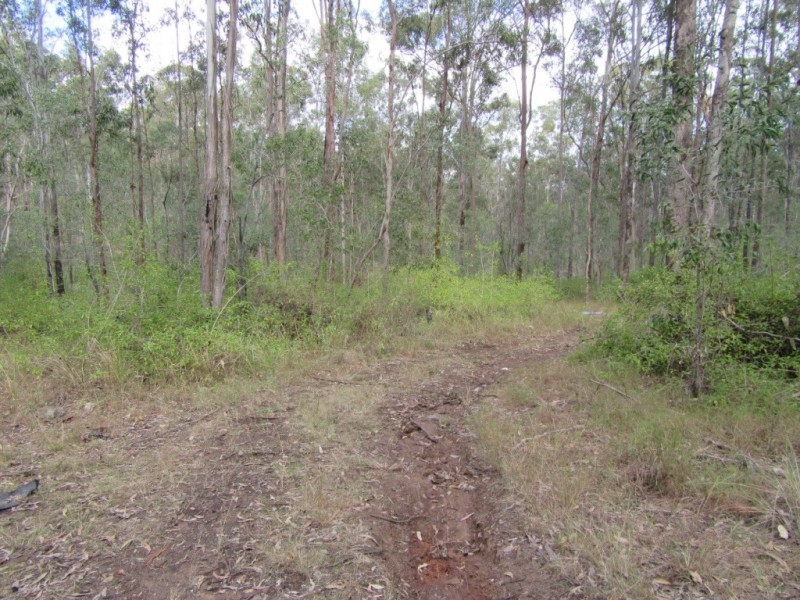 4470 Birnam Range Road, Beaudesert QLD 4285