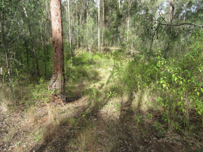 4470 Birnam Range Road, Beaudesert QLD 4285