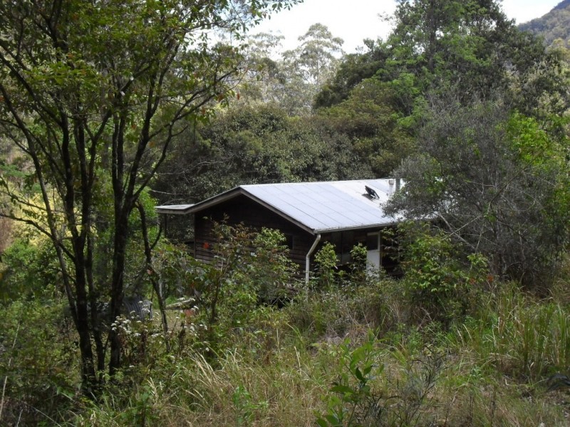 3291 Christmas Creek Rd, Christmas Creek QLD 4285