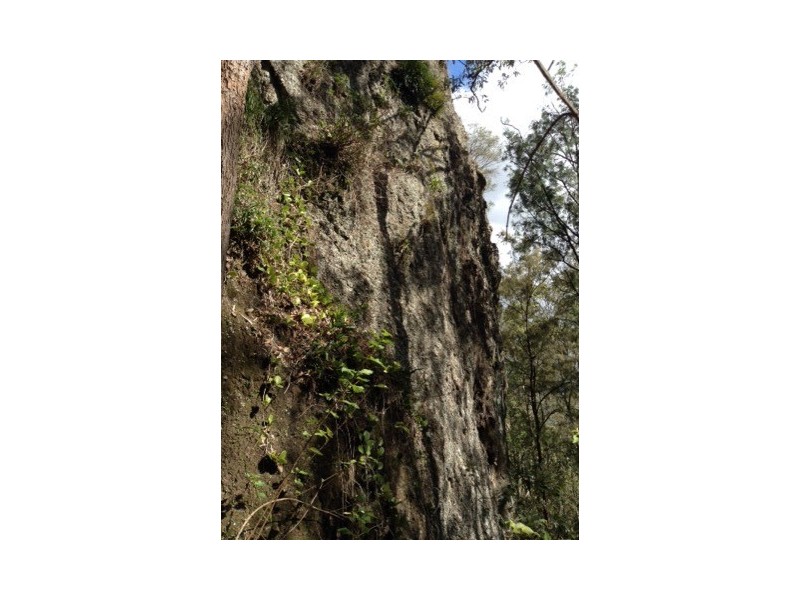 3291 Christmas Creek Rd, Christmas Creek QLD 4285