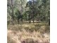 3291 Christmas Creek Rd, Christmas Creek QLD 4285