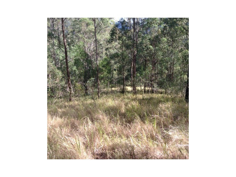 3291 Christmas Creek Rd, Christmas Creek QLD 4285