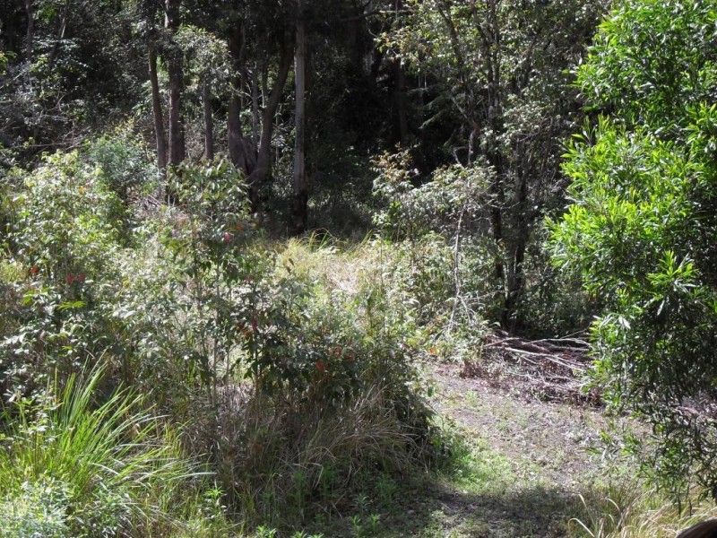 3291 Christmas Creek Rd, Christmas Creek QLD 4285