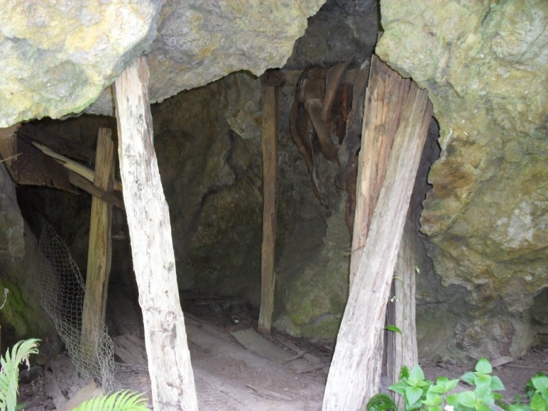 3291 Christmas Creek Rd, Christmas Creek QLD 4285