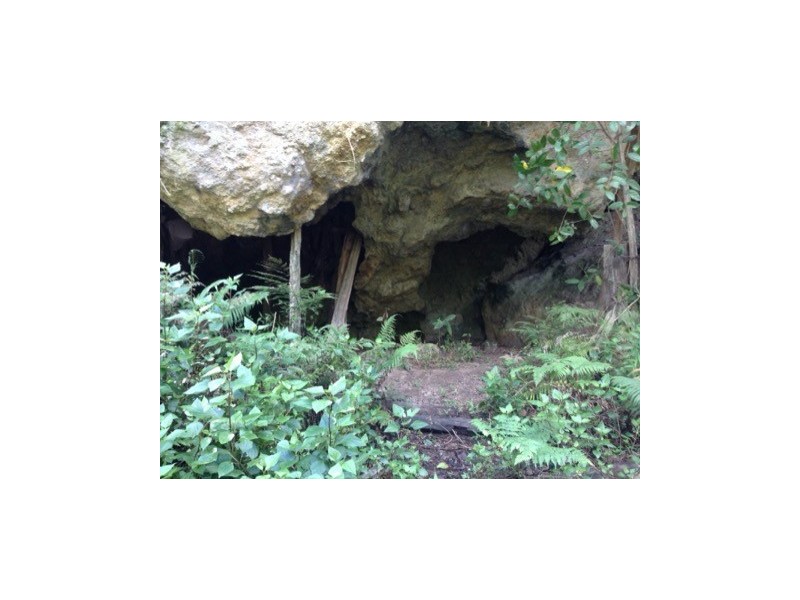 3291 Christmas Creek Rd, Christmas Creek QLD 4285